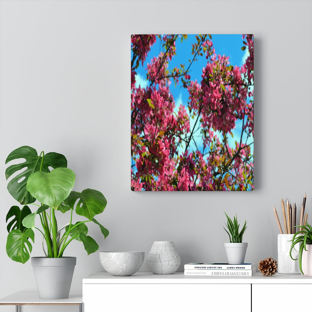 Flowering Crabapple Stretched Canvas