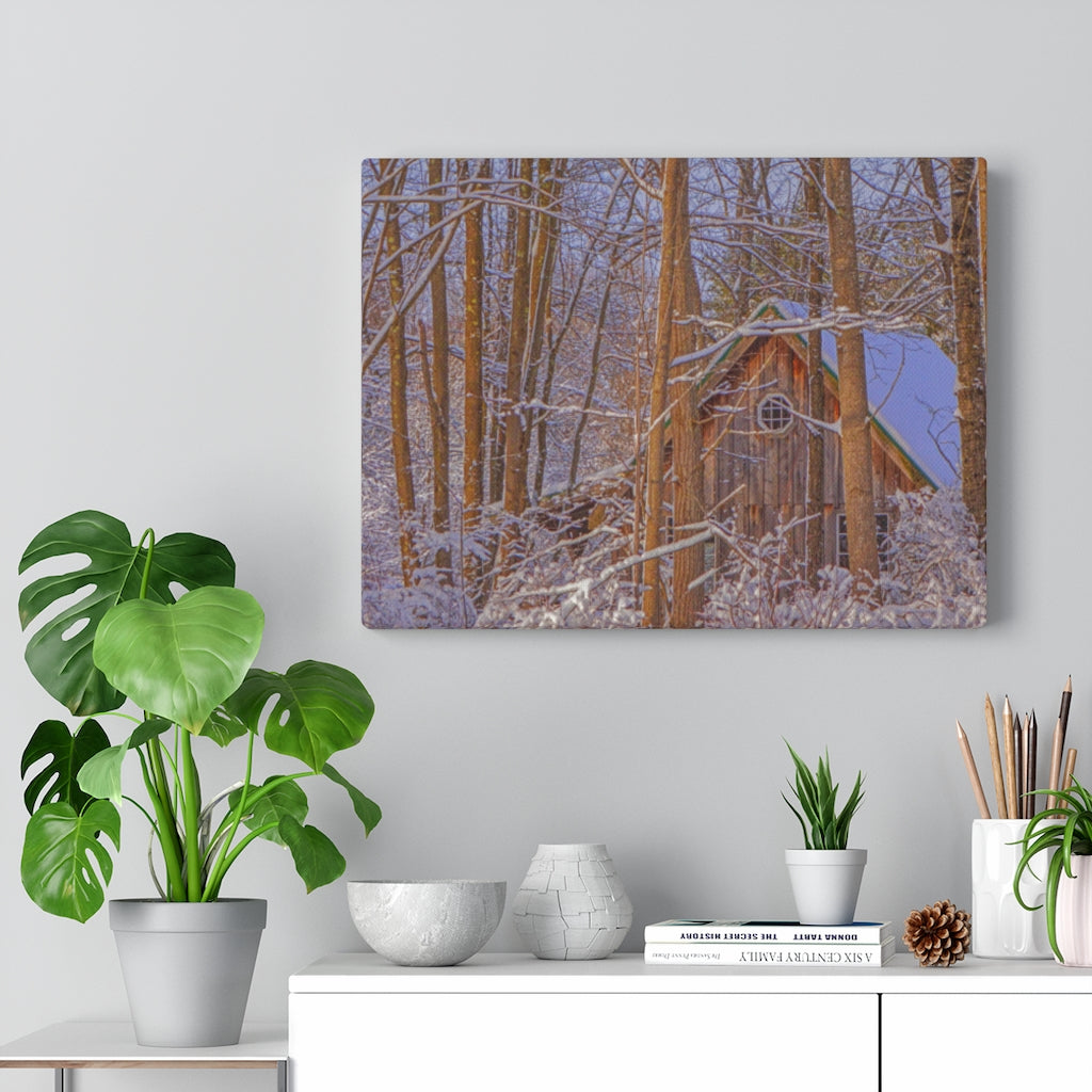 Cabin in the Woods Stretched Canvas