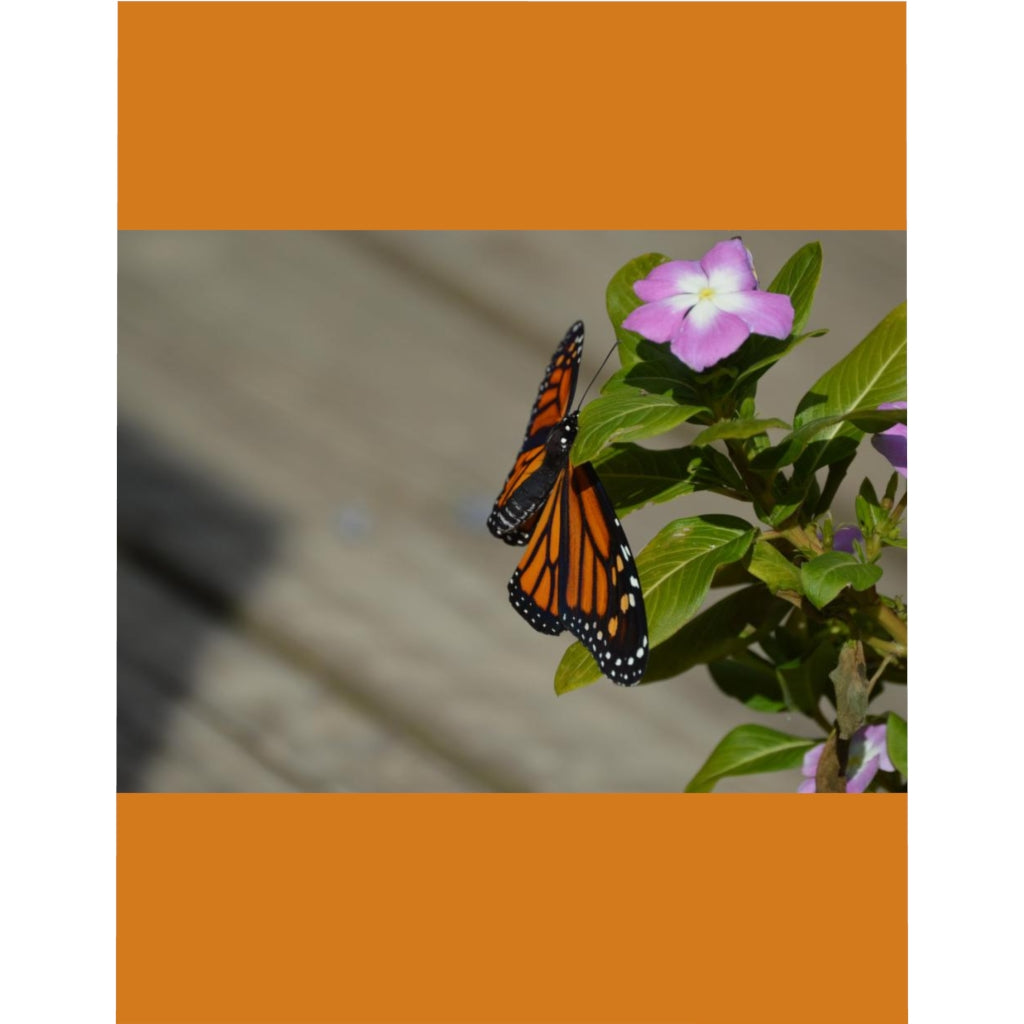 Monarch Butterfly Microfiber Duvet Cover