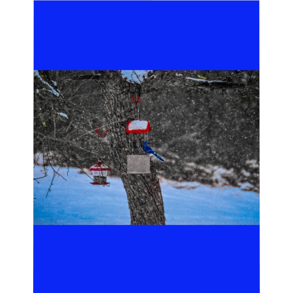 Blue Jay in Winter Microfiber Duvet Cover