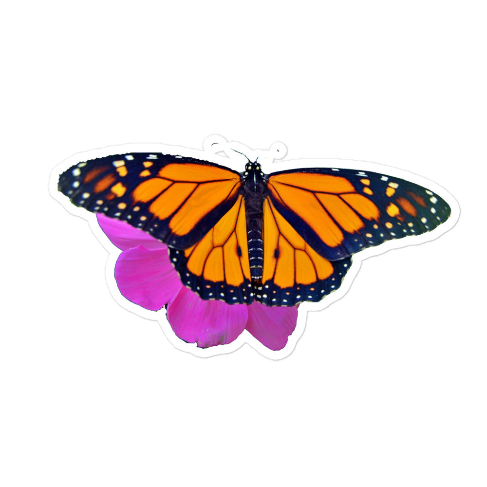 Marco the Monarch Butterfly Bubble-free stickers