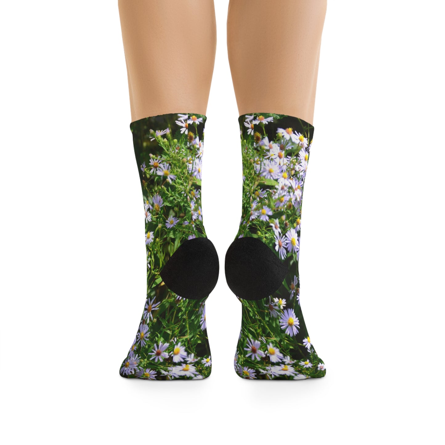 Wild Aster Socks