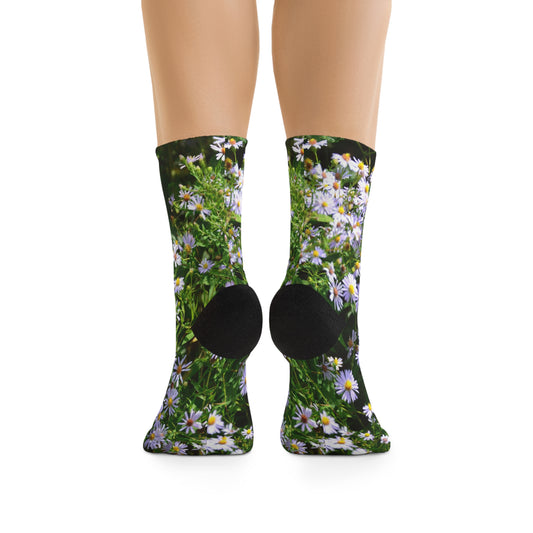 Wild Aster Socks