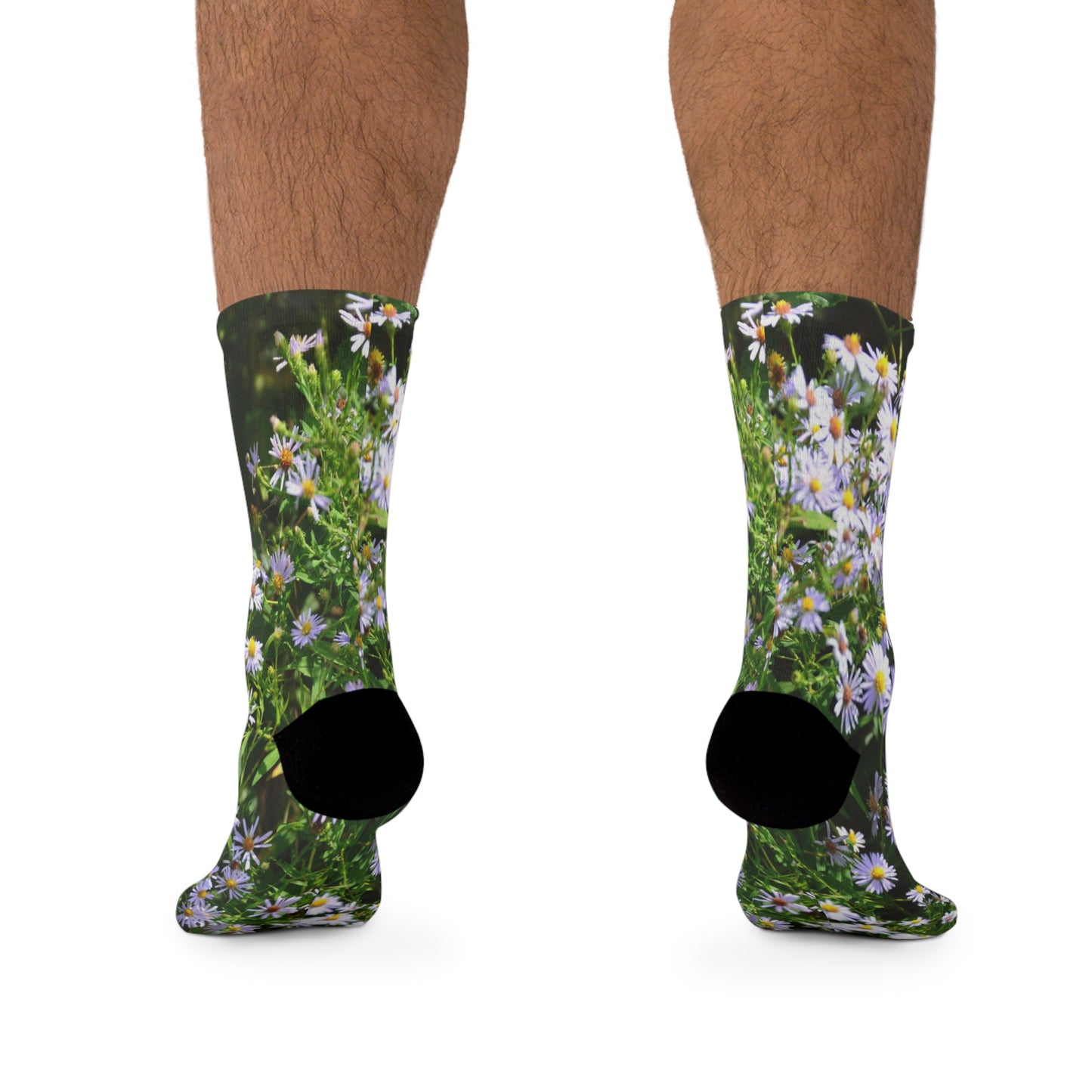 Wild Aster Socks