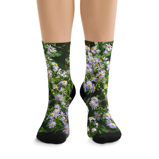 Wild Aster Socks