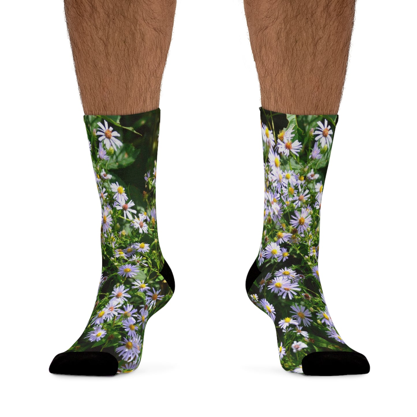 Wild Aster Socks