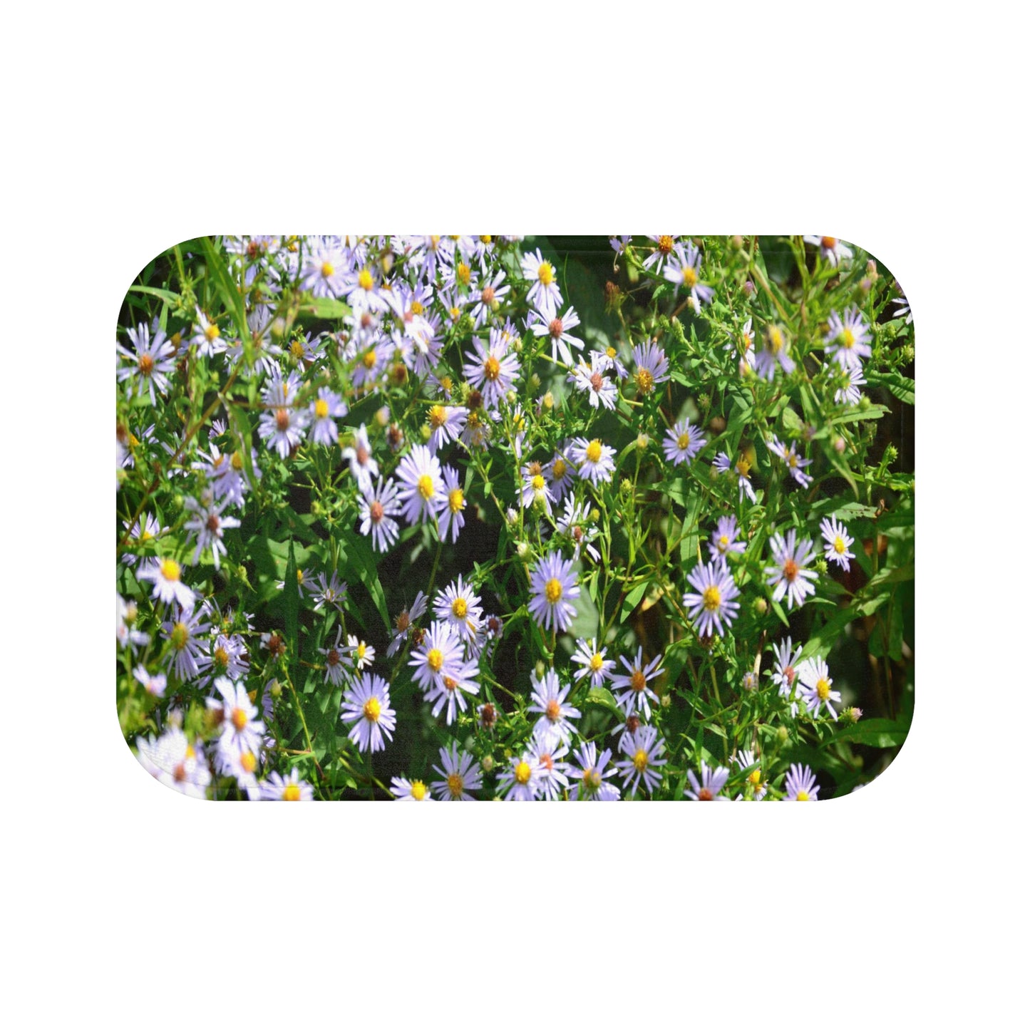 Wild Aster Bath Mat