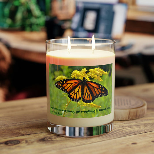 Double-wick Scented Candle - Full Glass, 11oz--Elizabeth the Monarch Butterfly photo
