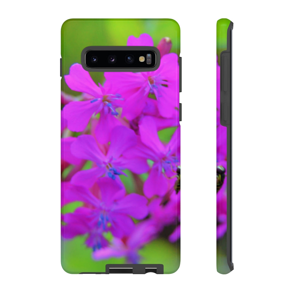 Sweet William Catchfly Mobile Phone Case for iPhone and Samsung Galaxy