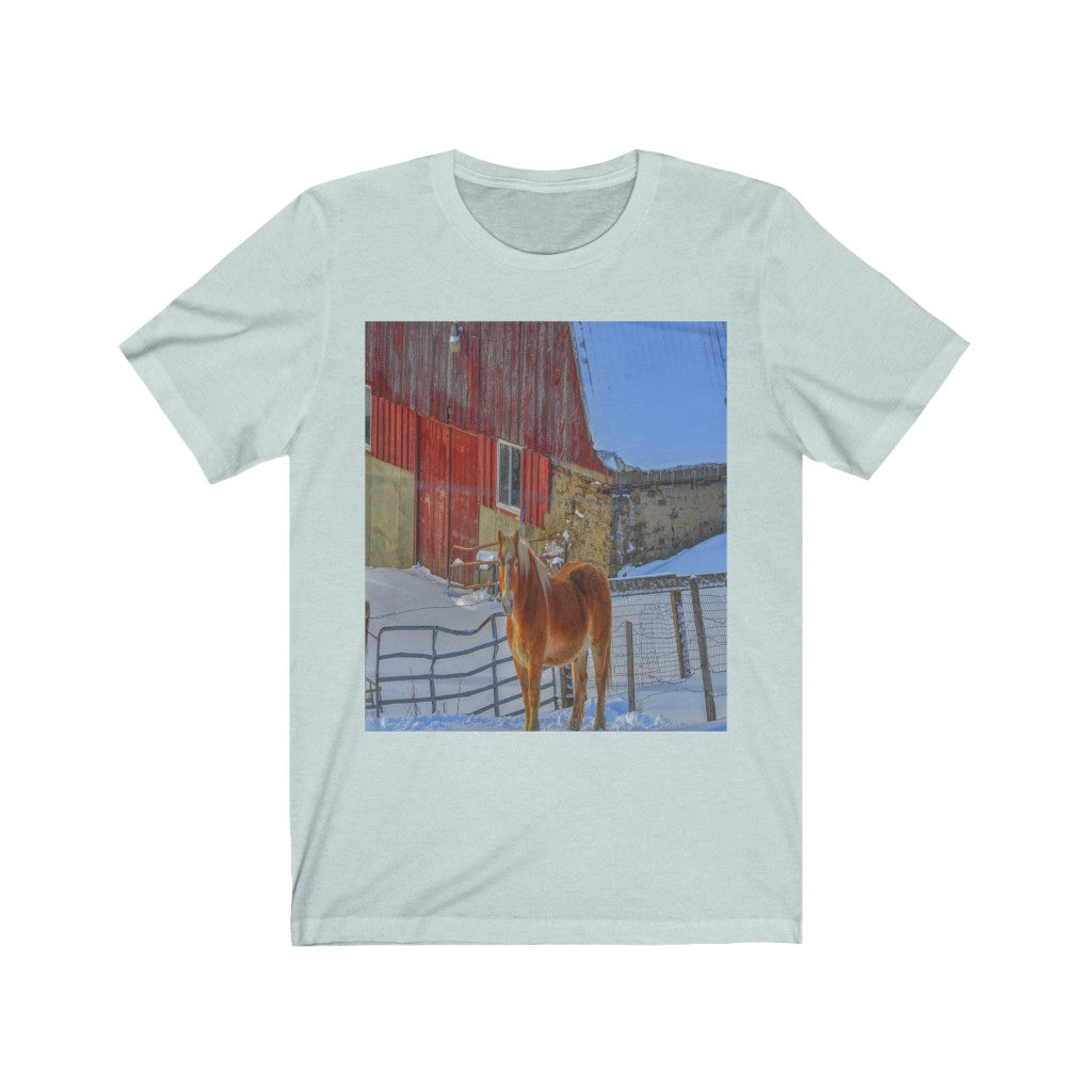 Haflinger Horse Unisex Jersey Short Sleeve Tee