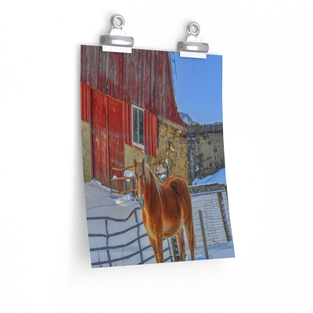 Haflinger Horse Premium Matte vertical poster