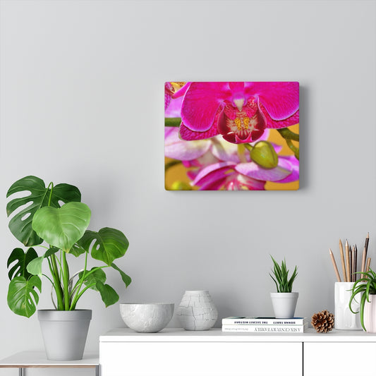 Orchid Stretched Canvas
