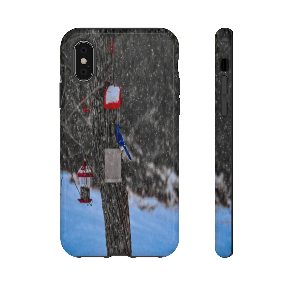 Blue Jay in Winter Mobile Phone Case for iPhone and Samsung Galaxy