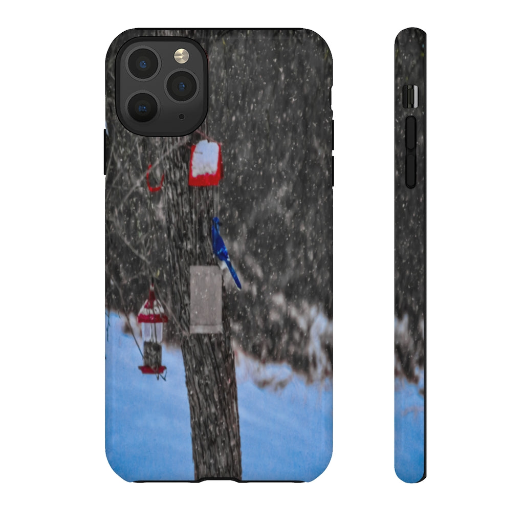 Blue Jay in Winter Mobile Phone Case for iPhone and Samsung Galaxy