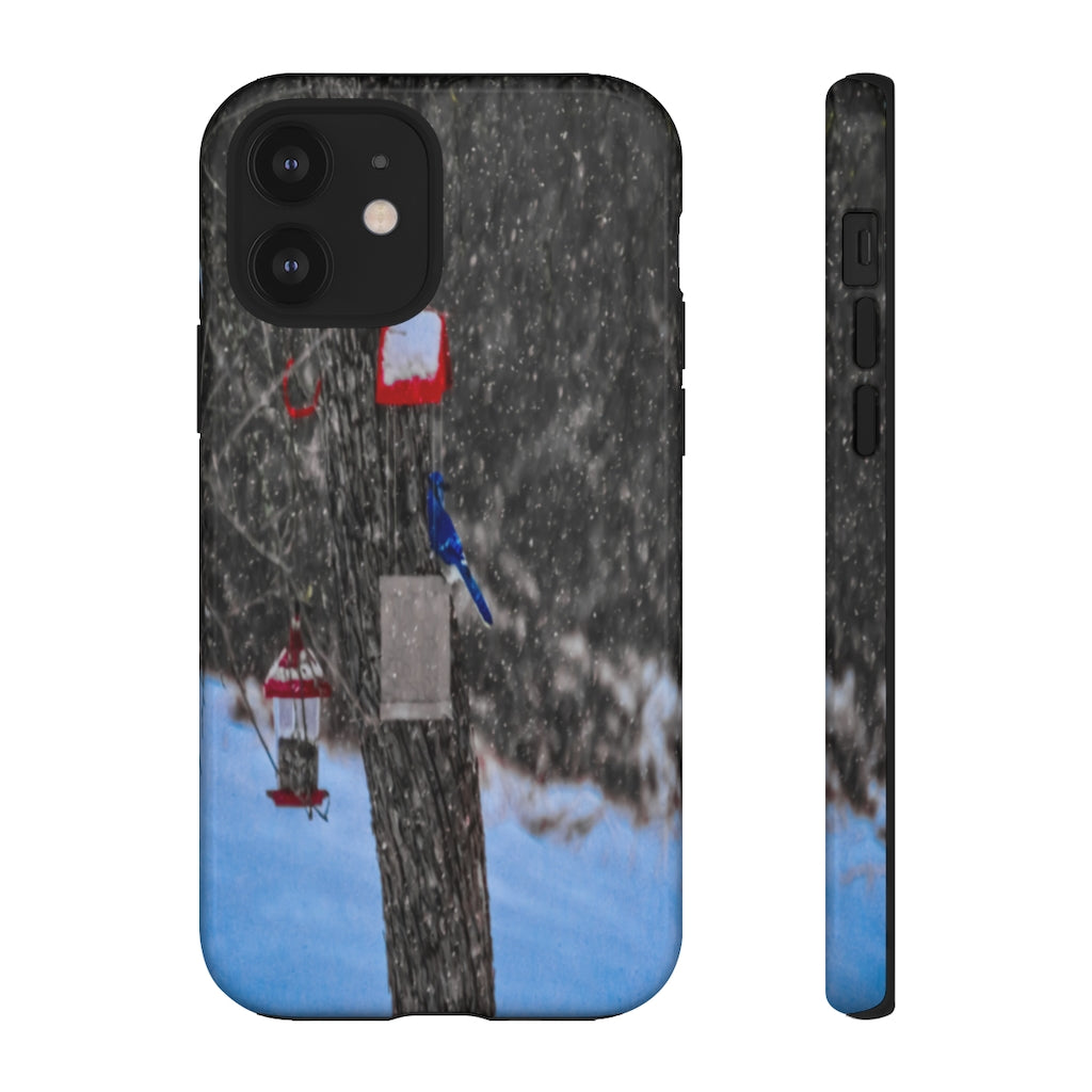 Blue Jay in Winter Mobile Phone Case for iPhone and Samsung Galaxy