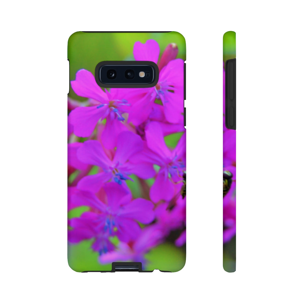 Sweet William Catchfly Mobile Phone Case for iPhone and Samsung Galaxy