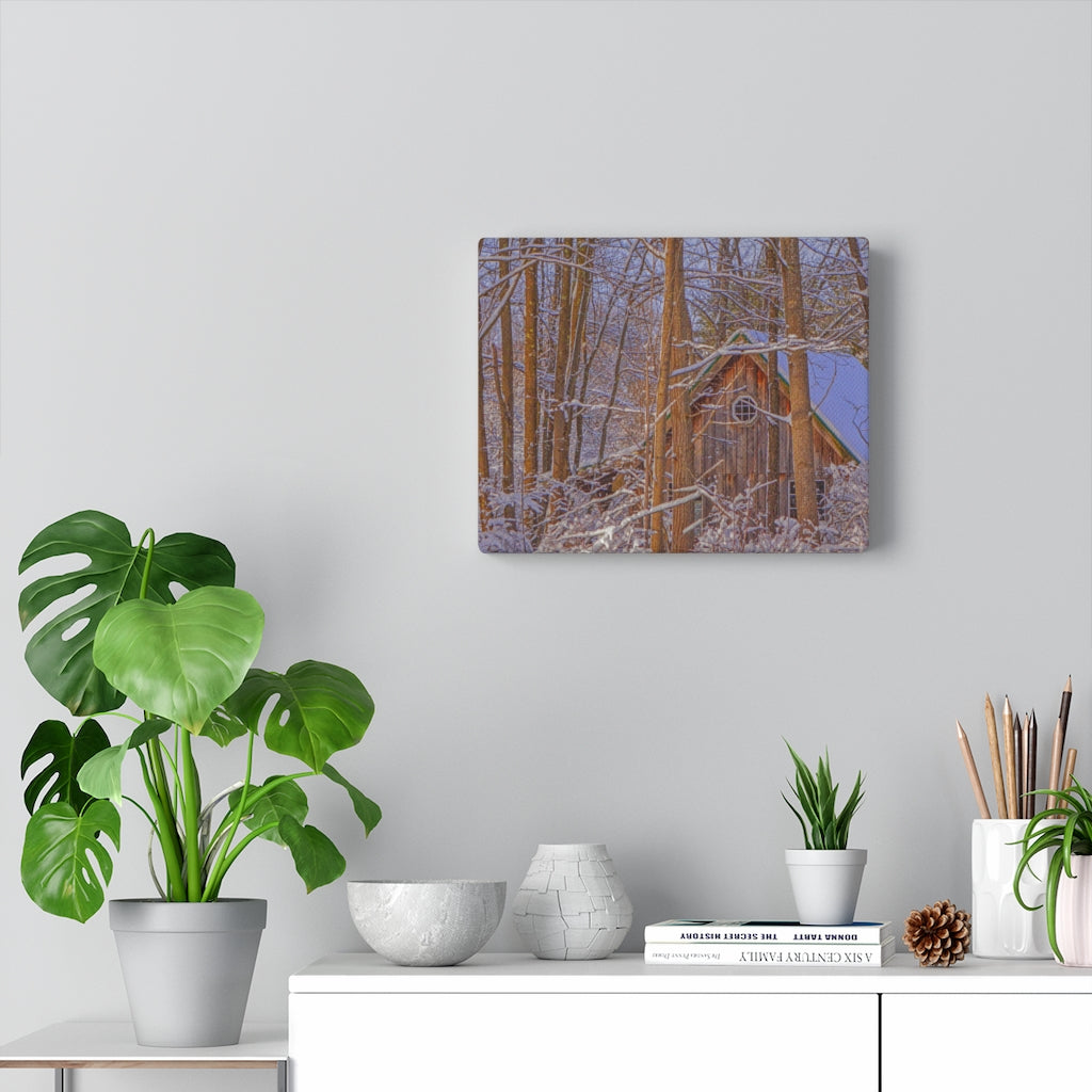 Cabin in the Woods Stretched Canvas