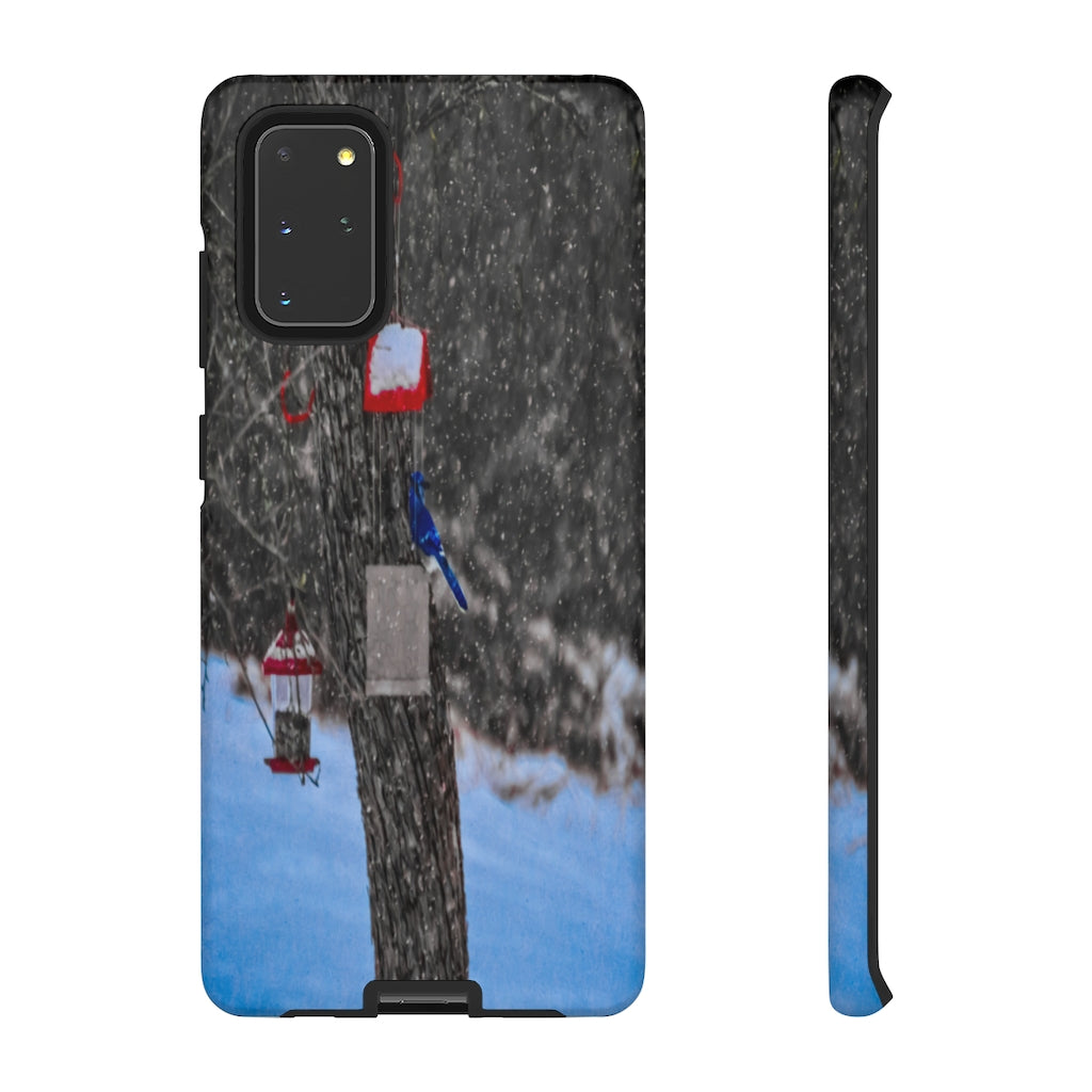 Blue Jay in Winter Mobile Phone Case for iPhone and Samsung Galaxy