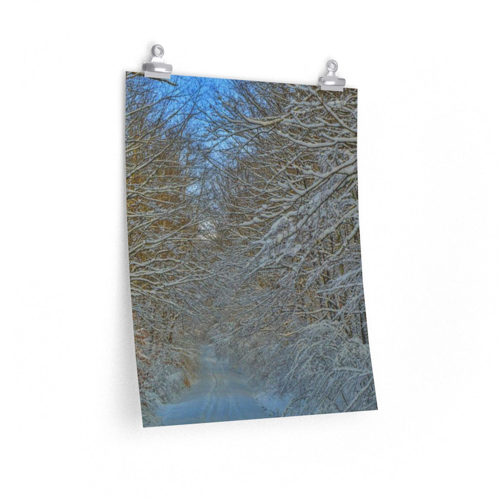 Snowy Path Premium Matte vertical posters