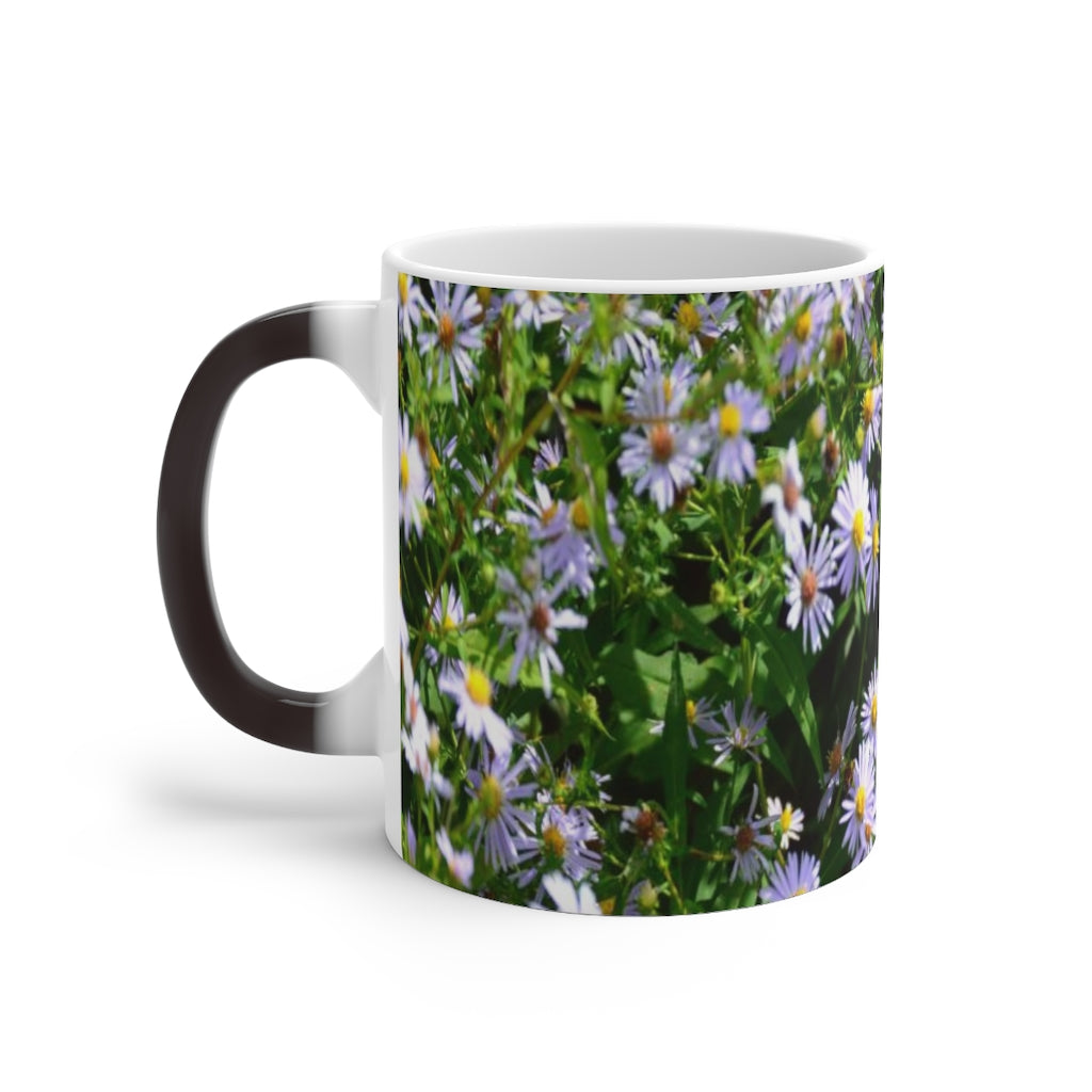 Wild Aster Color Changing Mug