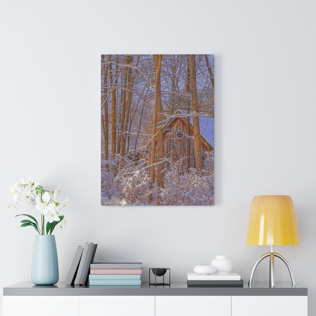 Cabin in the Woods Stretched Canvas