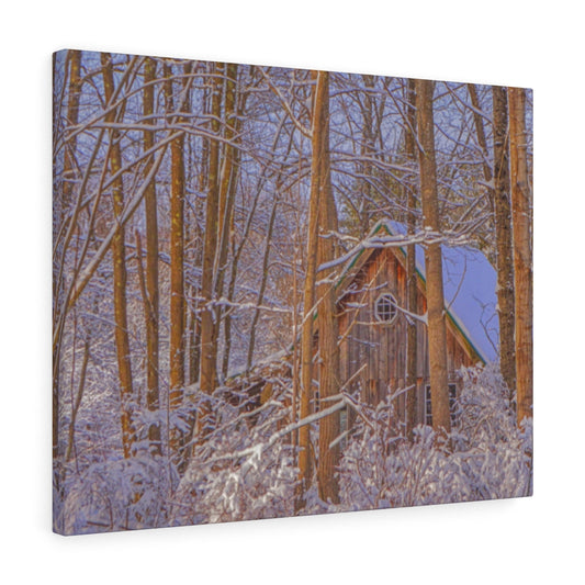 Cabin in the Woods Stretched Canvas