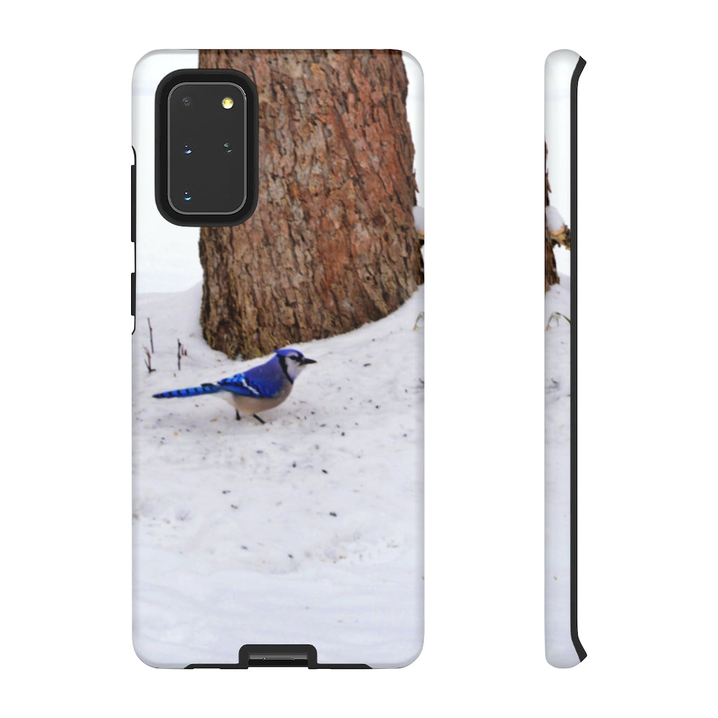 Blue Jay on the Ground Mobile Phone Case for iPhone and Samsung Galaxy