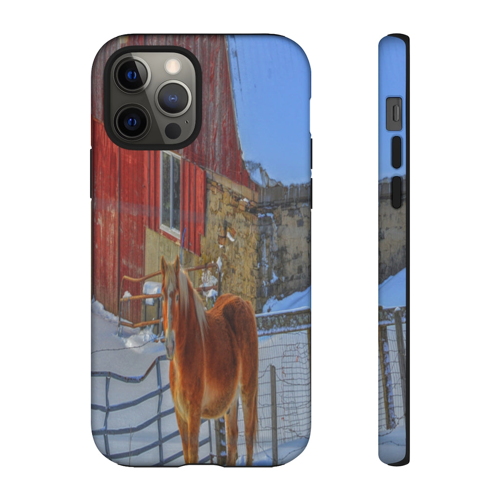 Haflinger in Winter Mobile Phone Case for iPhone and Samsung Galaxy