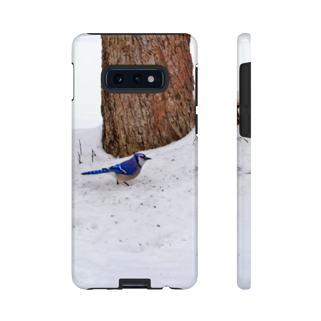 Blue Jay on the Ground Mobile Phone Case for iPhone and Samsung Galaxy