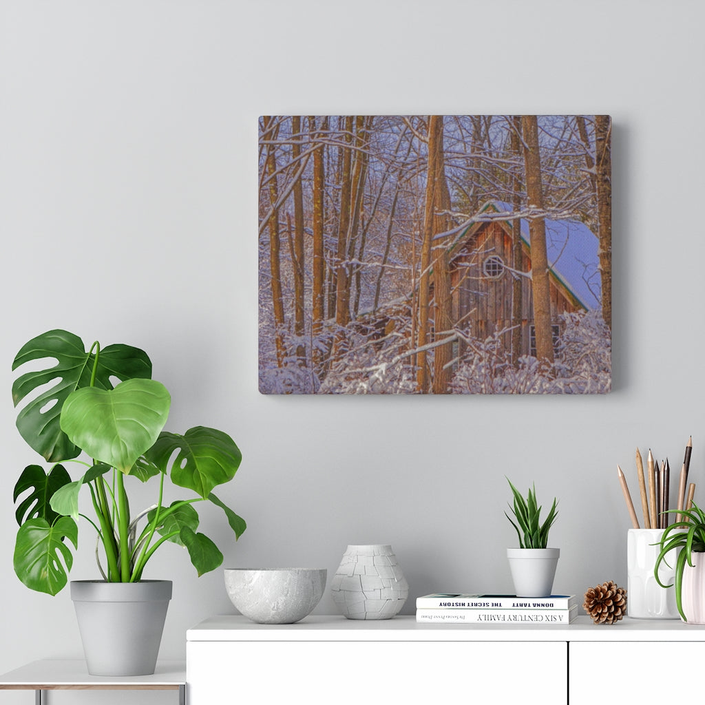 Cabin in the Woods Stretched Canvas