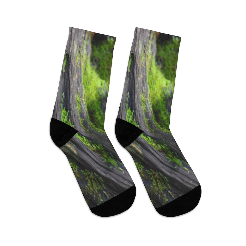 Mossy Log Socks