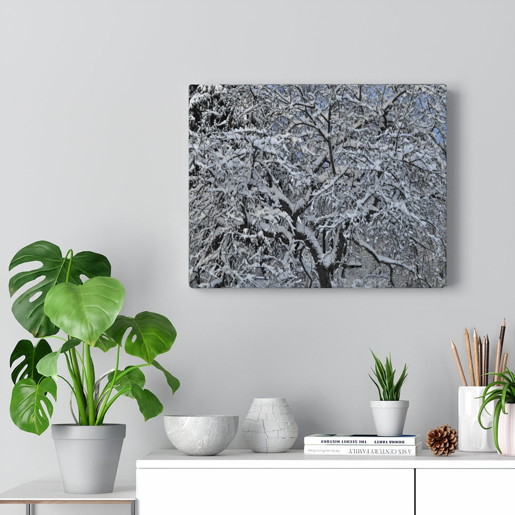 Crabapple in Winter Stretched Canvas