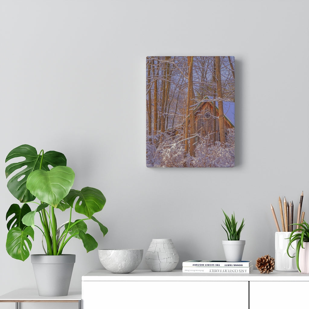 Cabin in the Woods Stretched Canvas