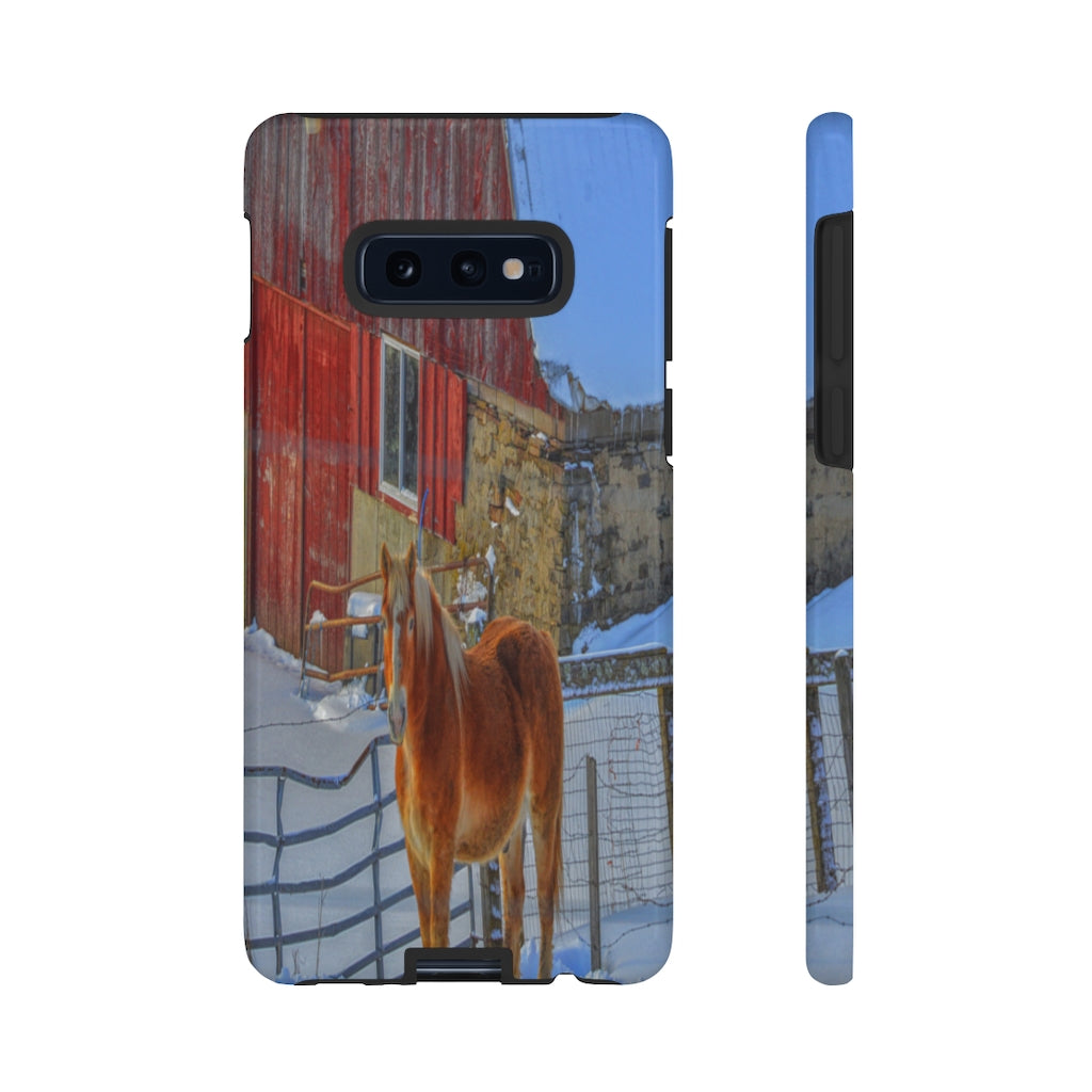 Haflinger in Winter Mobile Phone Case for iPhone and Samsung Galaxy