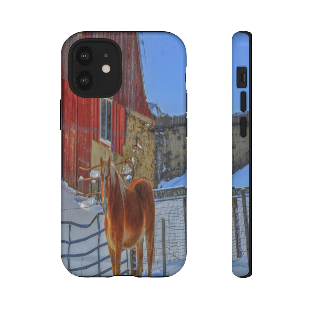 Haflinger in Winter Mobile Phone Case for iPhone and Samsung Galaxy