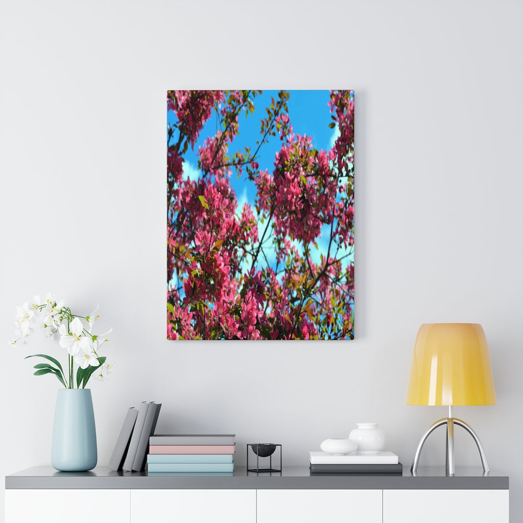 Flowering Crabapple Stretched Canvas