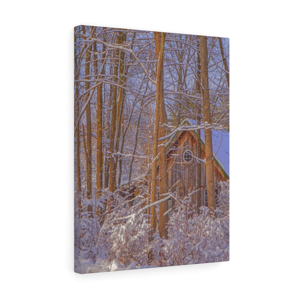 Cabin in the Woods Stretched Canvas