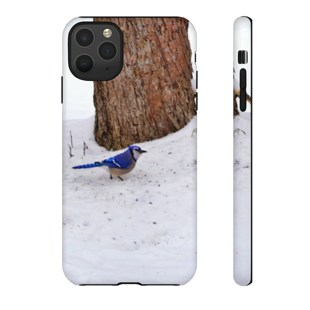 Blue Jay on the Ground Mobile Phone Case for iPhone and Samsung Galaxy