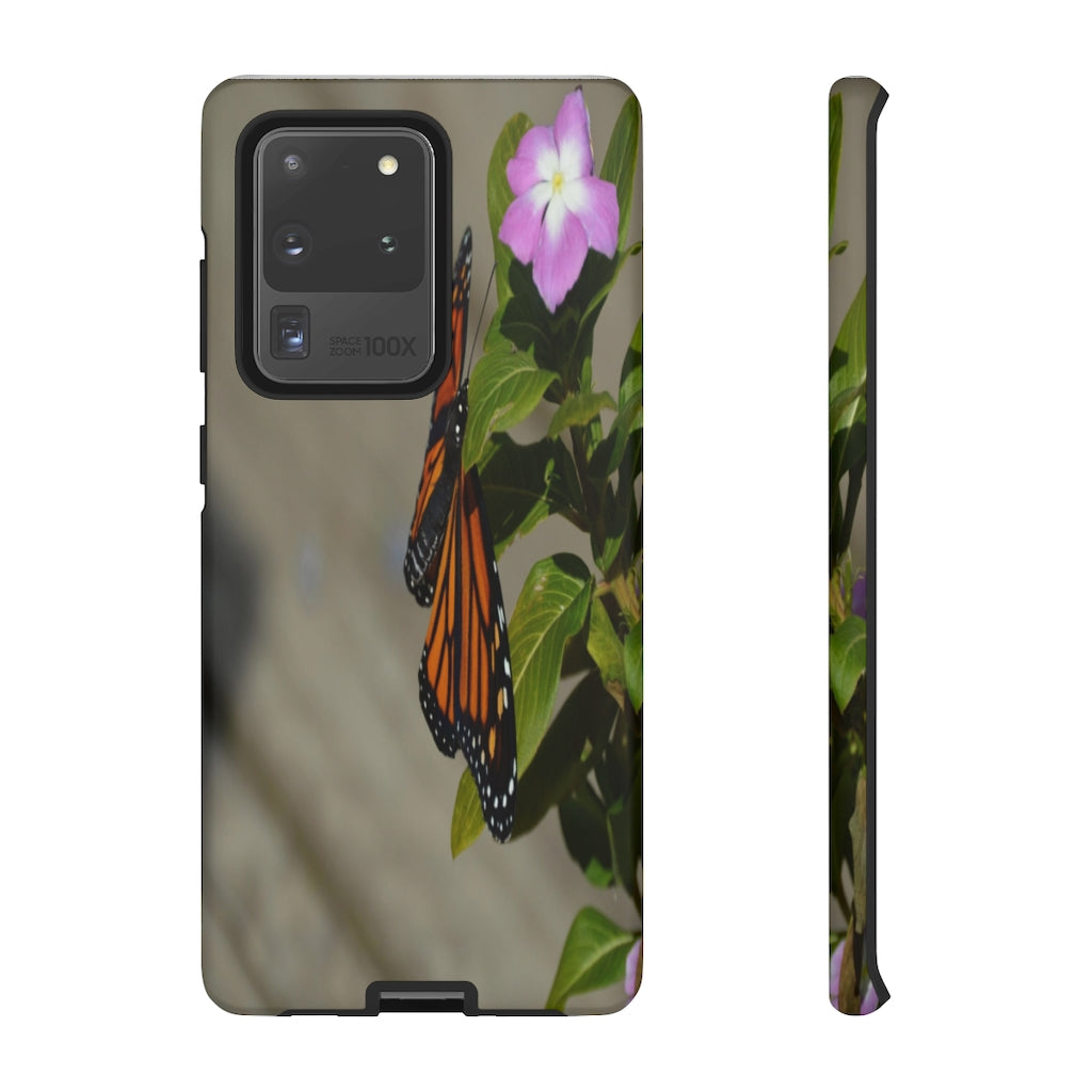 Monarch Butterfly Mobile Phone Case for iPhone and Samsung Galaxy