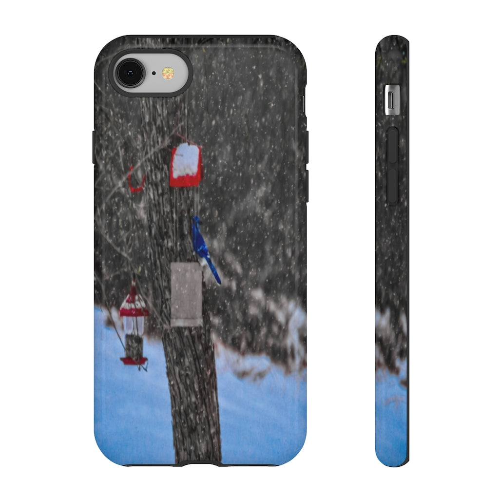 Blue Jay in Winter Mobile Phone Case for iPhone and Samsung Galaxy