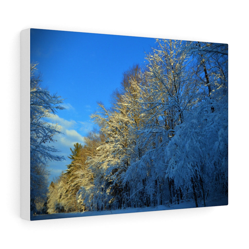 Winter Wonderland Stretched Canvas