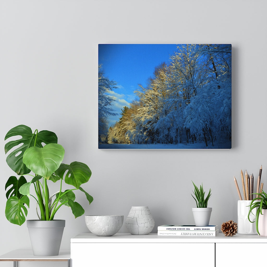 Winter Wonderland Stretched Canvas