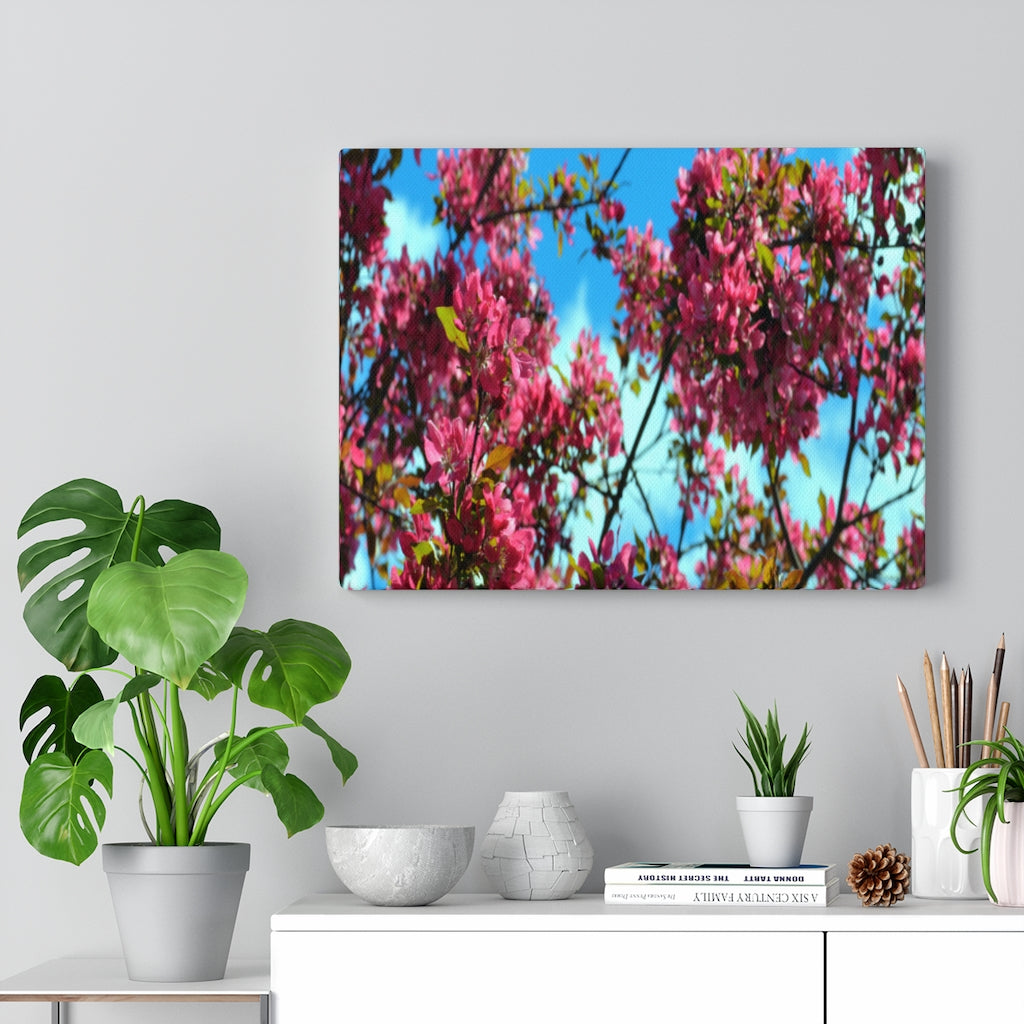 Flowering Crabapple Stretched Canvas