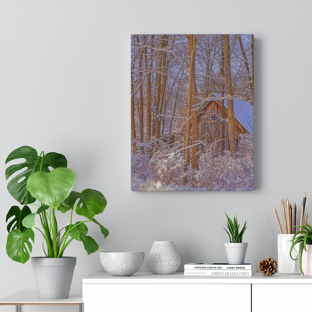 Cabin in the Woods Stretched Canvas