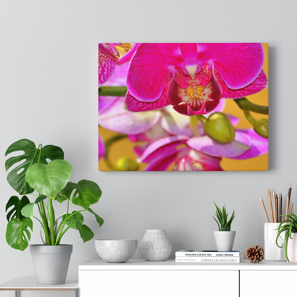 Orchid Stretched Canvas