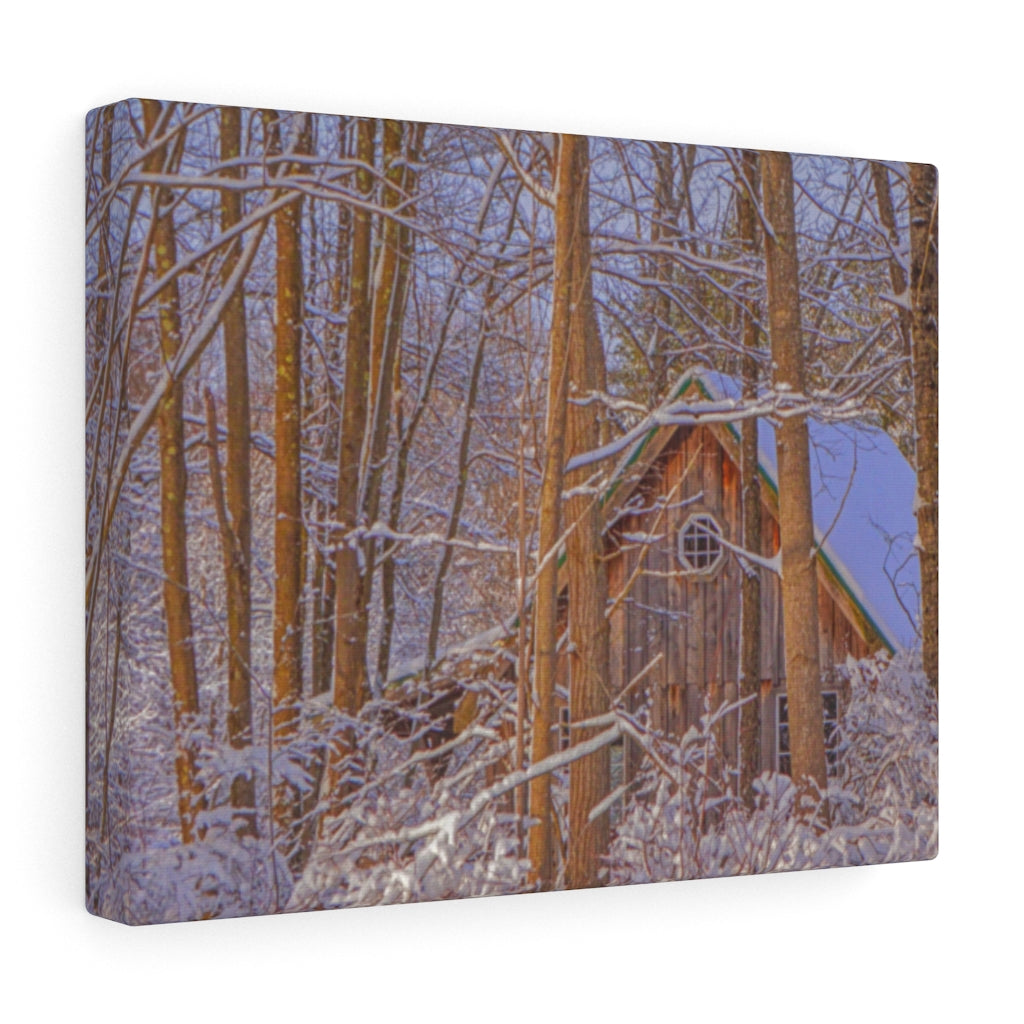 Cabin in the Woods Stretched Canvas