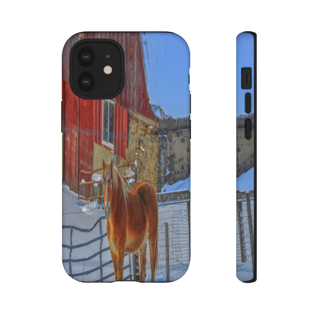 Haflinger in Winter Mobile Phone Case for iPhone and Samsung Galaxy