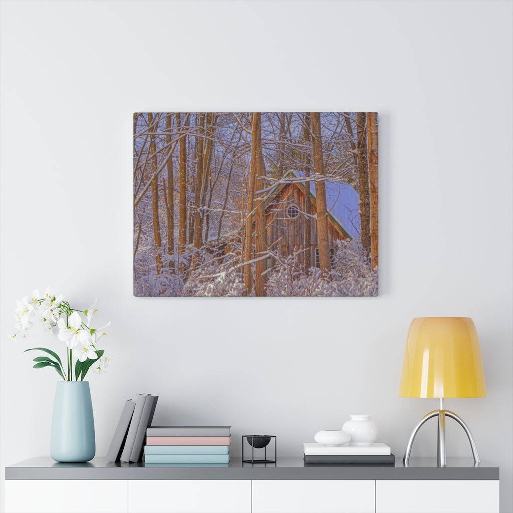 Cabin in the Woods Stretched Canvas