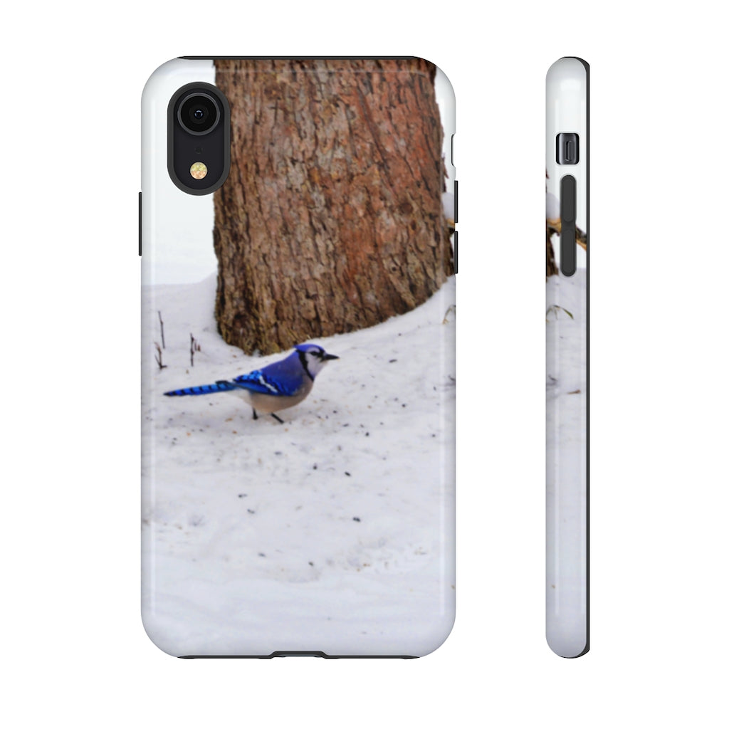 Blue Jay on the Ground Mobile Phone Case for iPhone and Samsung Galaxy