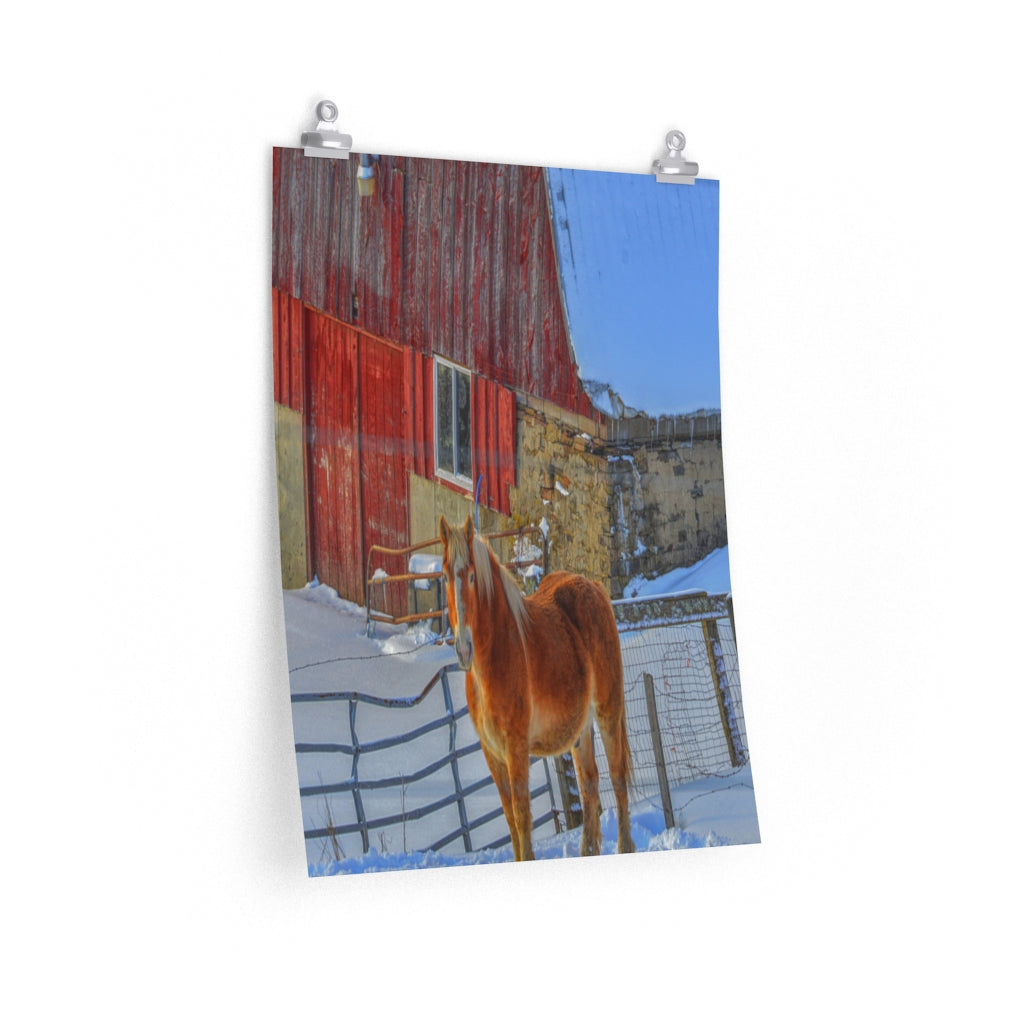 Haflinger Horse Premium Matte vertical poster